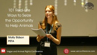 101 RealLife Ways to Seize the Opportunity to Help Animals  VARC 2024 [upl. by Yemaj616]