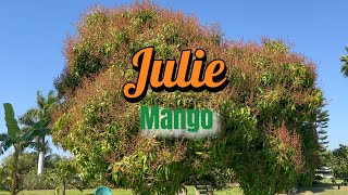 Julie Mango [upl. by Miof Mela262]