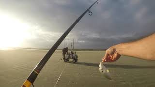 Fall fishing at Seabrook Island SC [upl. by Tranquada]