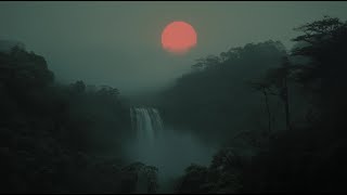 8hr In Between Day and Night  Dusk Rainforest Ambience for Deep Sleep  Black Screen [upl. by Therine604]