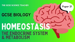 GCSE Biology Homeostasis an overview  AQA OCR Edexcel [upl. by Catton]