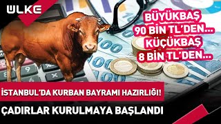 İstanbulda Kurban Bayramı Hazırlığı Çadırlar Kurulmaya Başlandı İşte Güncel Fiyatlar haber [upl. by Roth]