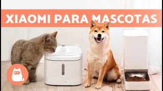 COMEDERO y BEBEDERO automáticos de XIAOMI para PERROS y GATOS 🐶🐱 Características y Beneficios [upl. by Snyder]