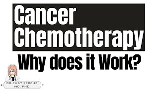 EasytoGrasp Explanations How Does Cancer Chemotherapy Work [upl. by Aryam]