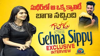 Gaalodu Movie Heroin Gehna Sippy Exclusive Interview  Sudigali Sudheer  NTV ENT [upl. by Mcclimans900]