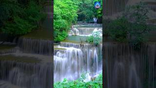 Relaxing Waterfall Sounds For Sleep Study and Meditation [upl. by Arlee]