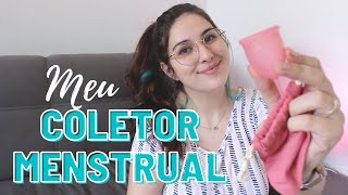 Minha experiência com COLETOR MENSTRUAL  3 meses de uso [upl. by Fachini]