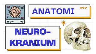 Anatomi Neurokranium Calvaria amp Basis Cranii  Anatomy 101 [upl. by Meryl]