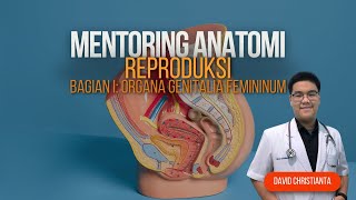 Mentoring Modul Reproduksi Anatomia Genitalia Femininum [upl. by Peednama]