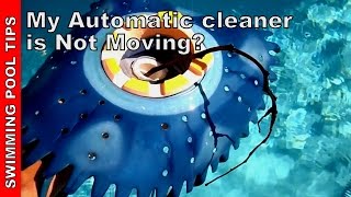 My Automatic Pool Cleaner is Not Working [upl. by Anirehtac]