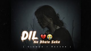 😭Na Bhula Saka💔  DiL   LoFi SLOWED  Ek Villan Return [upl. by Anilrac]