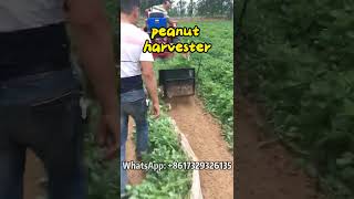 How the Groundnut Harvesting Machine Boosts Productivity peanut groundnut harvester harvesting [upl. by Bovill278]