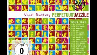 Perpetuum Jazzile quotVocal ecstasyquot CDDVD super box is OUT [upl. by Leunad]