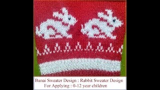 Rabbit Sweater Design  BSD [upl. by Nnylamme]