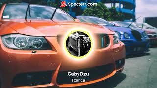 Tzanca Uraganu Tiganca balcanica bass boosted GabyDzu [upl. by Ciryl]