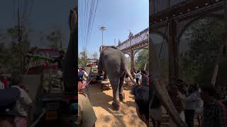 Uthralikavu Pooram ulsavam [upl. by Adnerak]