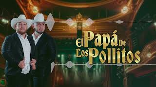 Grupo DLM  El Papá de los Pollitos Video Lyric [upl. by Desimone]