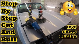 Cut And Buff A Car To Remove Orange Peel amp Trash From Your Paint Job RUPES DA POLISHER VS ROTARY [upl. by Novyert]