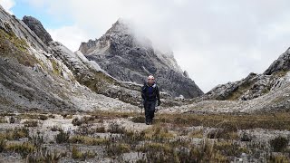 CARSTENSZ PYRAMID 4884 MDPL Gunung Jayawijaya TRAILER [upl. by Delaryd]