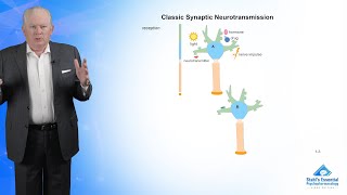 Classic Synaptic Neurotransmission [upl. by Korenblat]