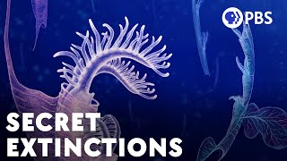 The Huge Extinctions We Are Just Now Discovering [upl. by Aynas]