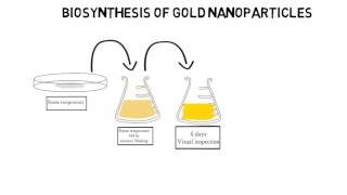 Biosynthesis of Gold Nanoparticles Draw my Thesis [upl. by Elirpa347]