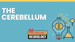 Cerebellum Mnemonics Memorable Neurology Lecture 6 [upl. by Cissej]