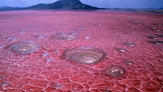 The Mysterious Beauty of Lake Natron Tanzanias Deadly Red Lake [upl. by Nnahgaem869]