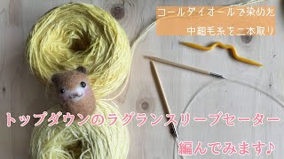 輪針でラグランスリーブのトップダウンセーターを編んでみます♪① 〜編み物 Vlog ⑤〜 [upl. by Kenwrick]