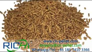 Shrimp feed pellet machine fish feed machine with three layers conditioner（12mm） [upl. by Robi]