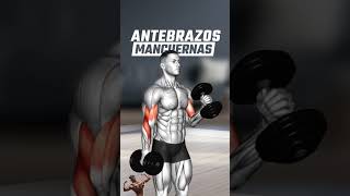 quot💪 Ejercicios Poderosos para Fortalecer Tus Antebrazos en Casa o Gimnasioquot gym deporte fitness [upl. by Gayler]