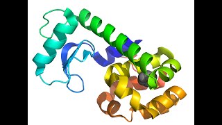 Protein purification Cell lysis [upl. by Hazen]