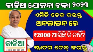 Kalia Yojana Beneficiary Status Check Online 2023  Kalia Yojana Money Credited Problem [upl. by Adnema141]