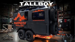 Game Changing Ultra Light 4 Wheel Overland Trailer  Mammoth Overland quotTallBoyquot [upl. by Zimmerman]