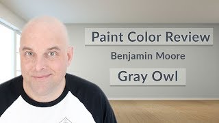 Benjamin Moore Gray Owl Color Review [upl. by Ferris]