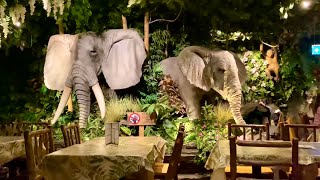 Rainforest Cafe with jungle theme in London 4K [upl. by Llertak851]