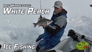 Lake Winnipesaukee White Perch Ice Fishing [upl. by Nyret998]