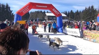 20 Schlittenhunderennen in Frauenwald [upl. by Braynard]