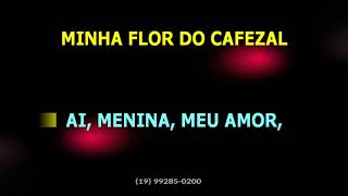 Cascatinha e Inhana • Flor do cafezal [upl. by Ule]