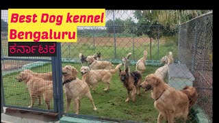 Best Kennel in Bengaluru  Dog Market  Puppies for sale  Pets market in Kannada  YourNewPup [upl. by Shultz183]