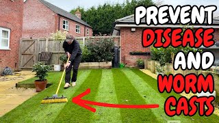 This One Thing will Help Prevent DISEASE and WORM CASTS in Your Lawn [upl. by Dedric]