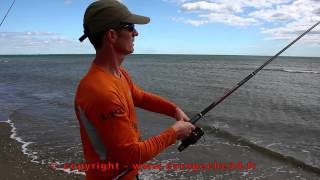 Pêche en surfcasting de la doradedaurade au Petit Travers à Carnon Europêche34 [upl. by Adan]