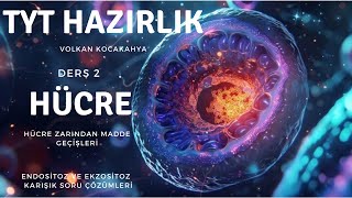 Hücre zarından madde geçişleriEndositoz ve Ekzositoz SORU ÇÖZÜMLERİ yks2025 [upl. by Quartas81]