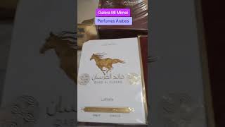 Mi Mimei Com Perfumes Árabes Femininos Diretamente De Dubai 🩷 [upl. by Cranston995]