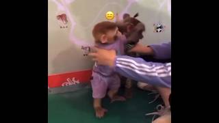 🐒🙈cute monkey funny fight so cute monkey 🐒🤣trending viral youtube instagram reel shorts short [upl. by Ahsieit638]