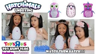 Toys R Us Toy Hunt Hatchimals Unboxing Watch as they Hatch [upl. by Gnap632]