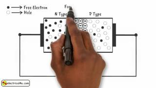 How does a Diode Work A Simple Explanation  How Diodes Work  Electrical4U [upl. by Cornel]