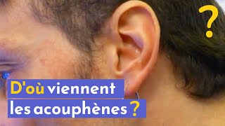 Acouphènes  d’où viennent ces sifflements dans nos oreilles [upl. by Ramed]