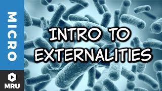 An Introduction to Externalities [upl. by Goto879]