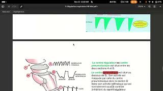 physiologie respiratoire centre respiratoire [upl. by Mauve]